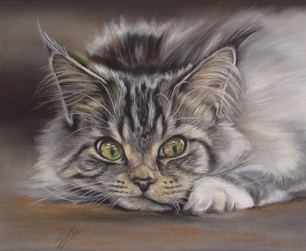 Siberian cat pastel portrait painting uk