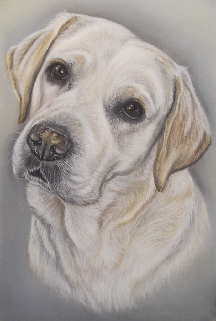 Yellow Labrador portrait painting uk