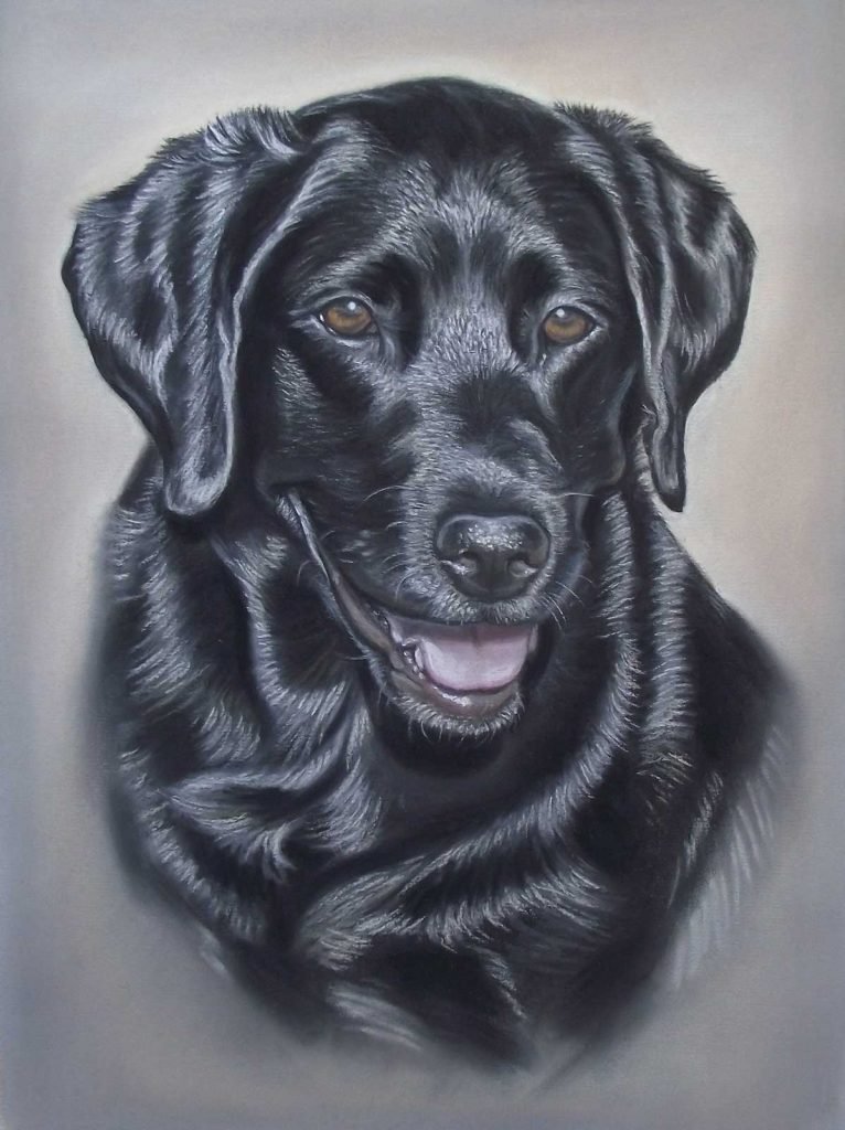 Black Labrador custom portrait