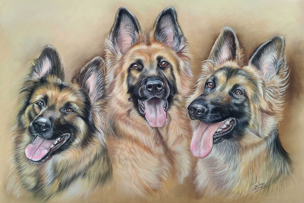 Fisher 400 Pastel Paper - German Shepherds