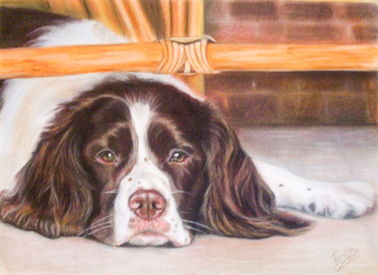 Commission a dog portrait uk