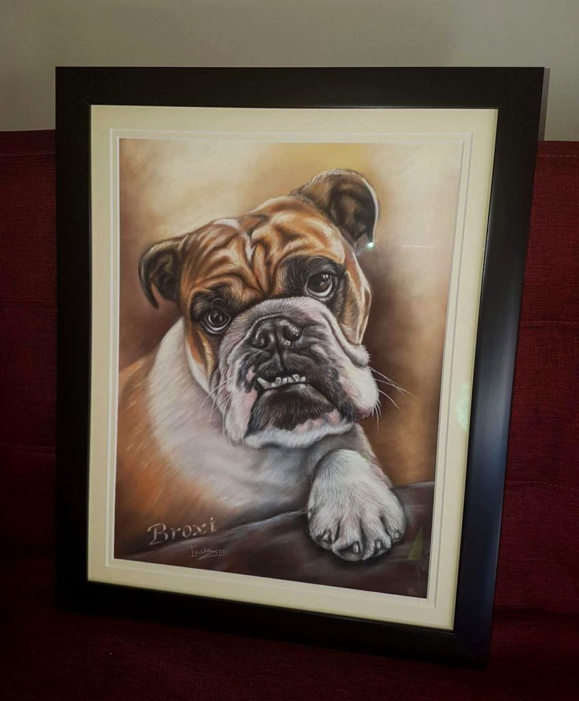 Broxi pet portrait