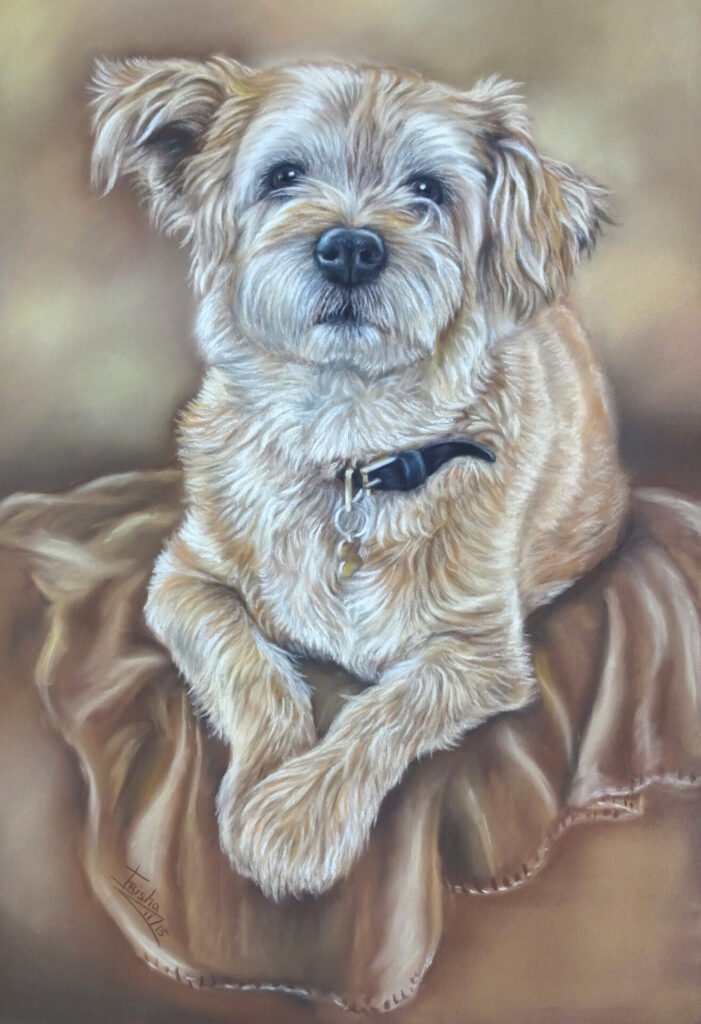 memorial dog portrait, hand-painted with pastel