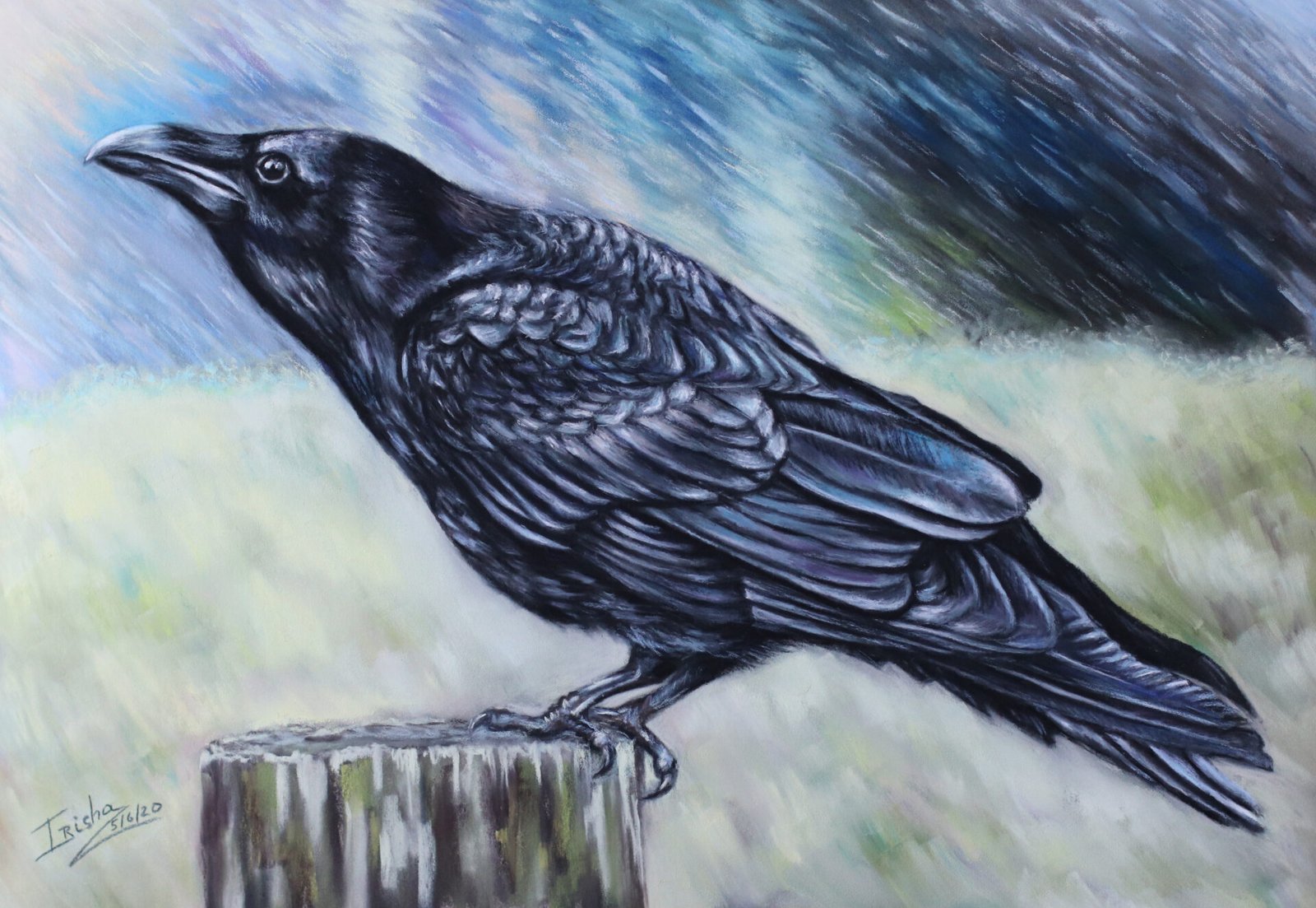 Raven pastel painting uk