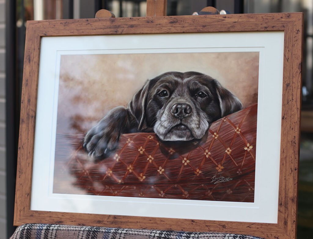 chocolate Labrador Retriever painting in pastel