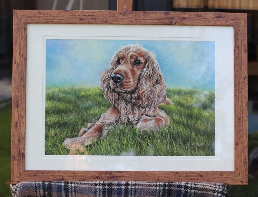 custom dog portrait in pastel of a cocker spaniel