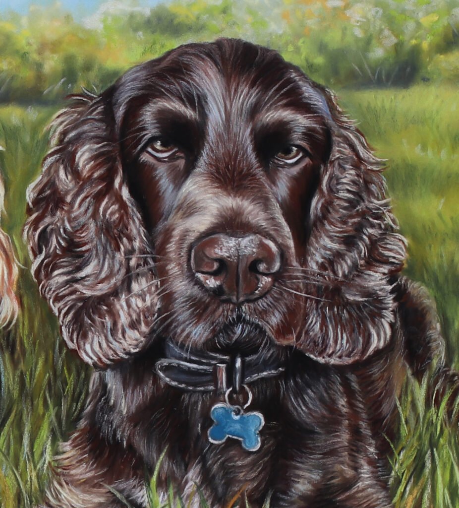 chocolate cocker spaniel custom portrait painting