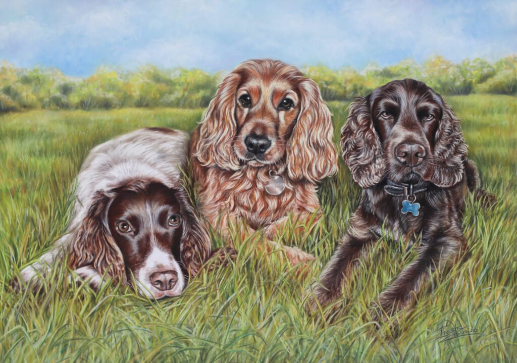 three springer spaniel portrait painting in pastel