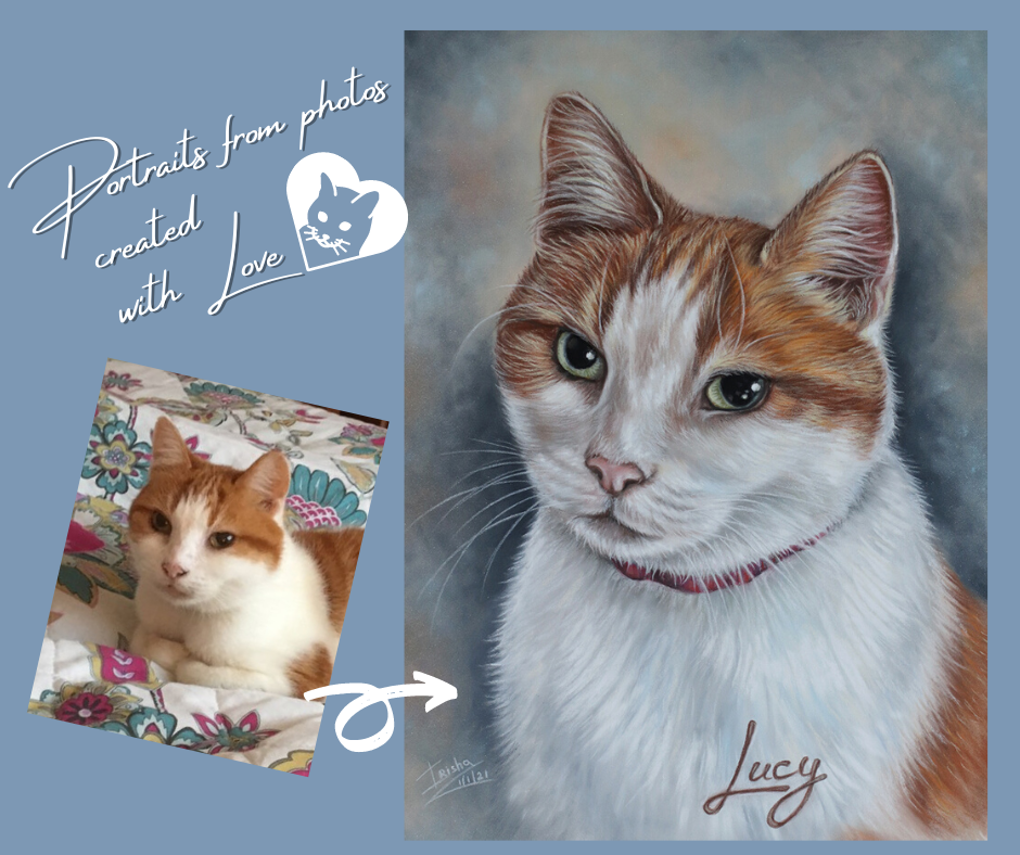 custom cat portrait