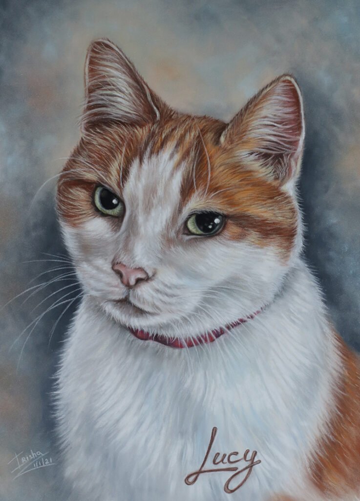 custom cat portrait