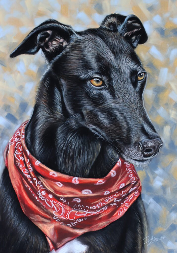 Black Greyhound portrait