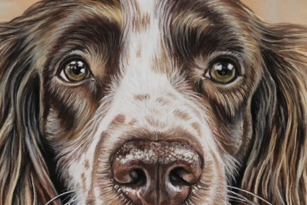 dog pastel portrait