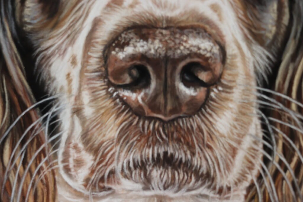 dog pastel portrait