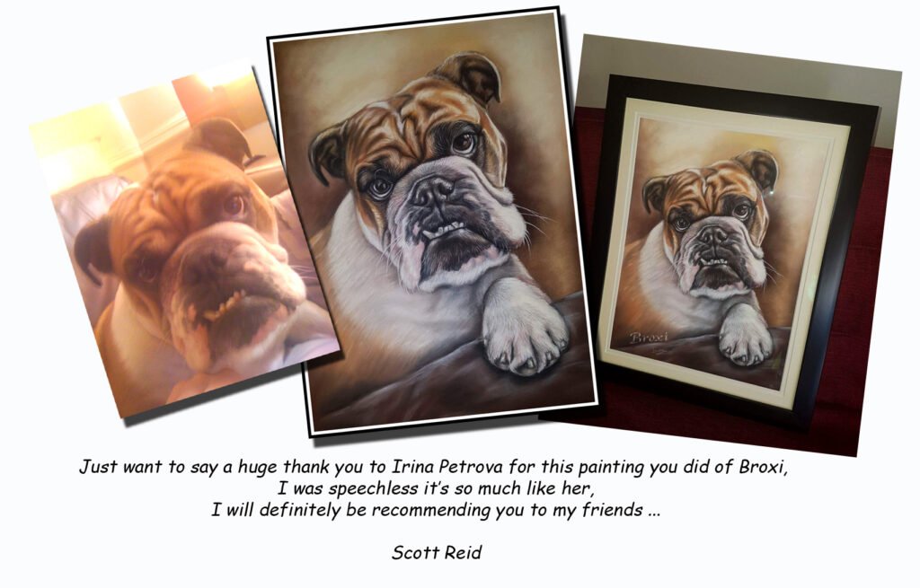 commission dog portrait UK