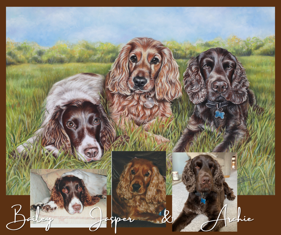 multiple pet portraits