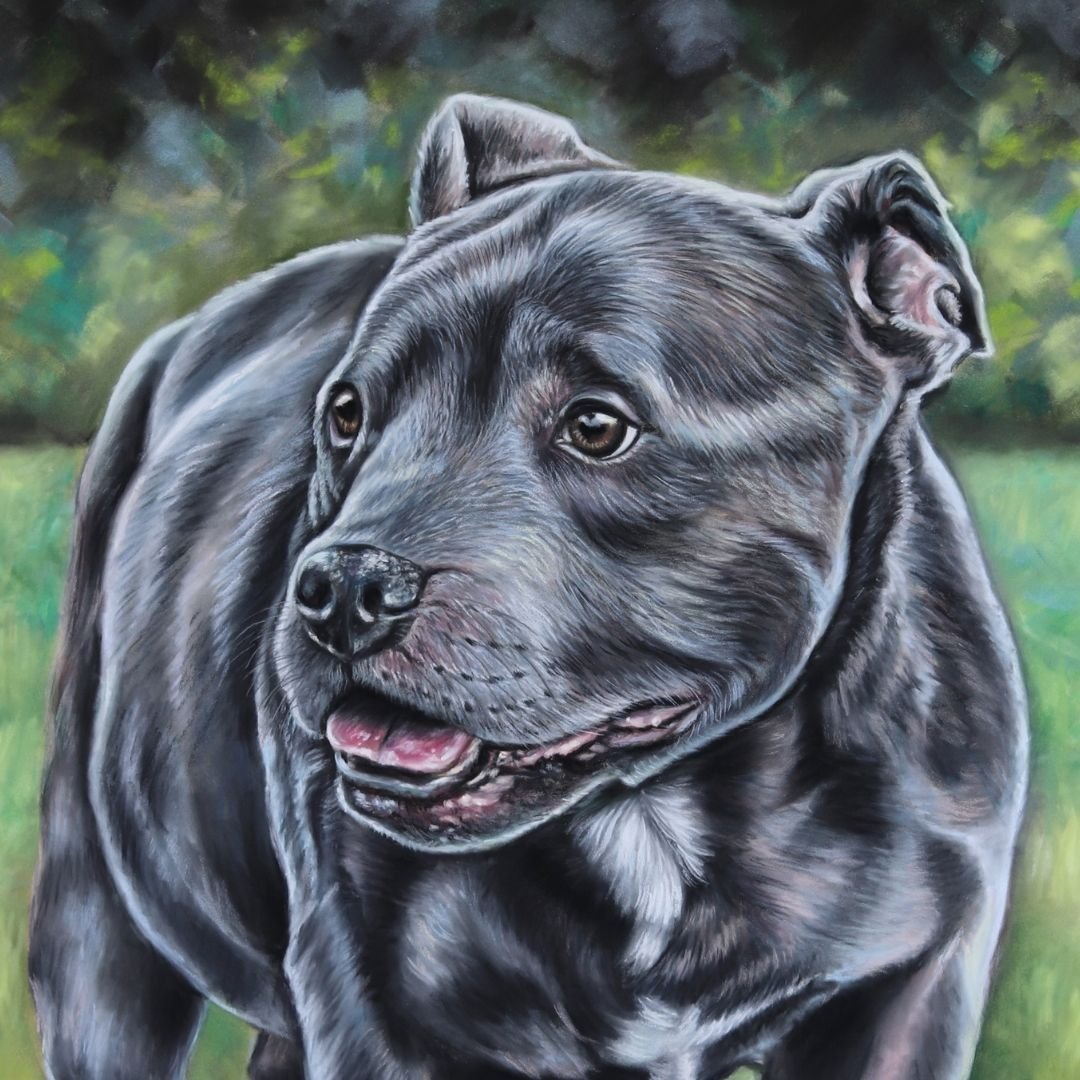 pet portraits uk