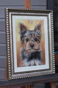 Yorkshire terrier portrait