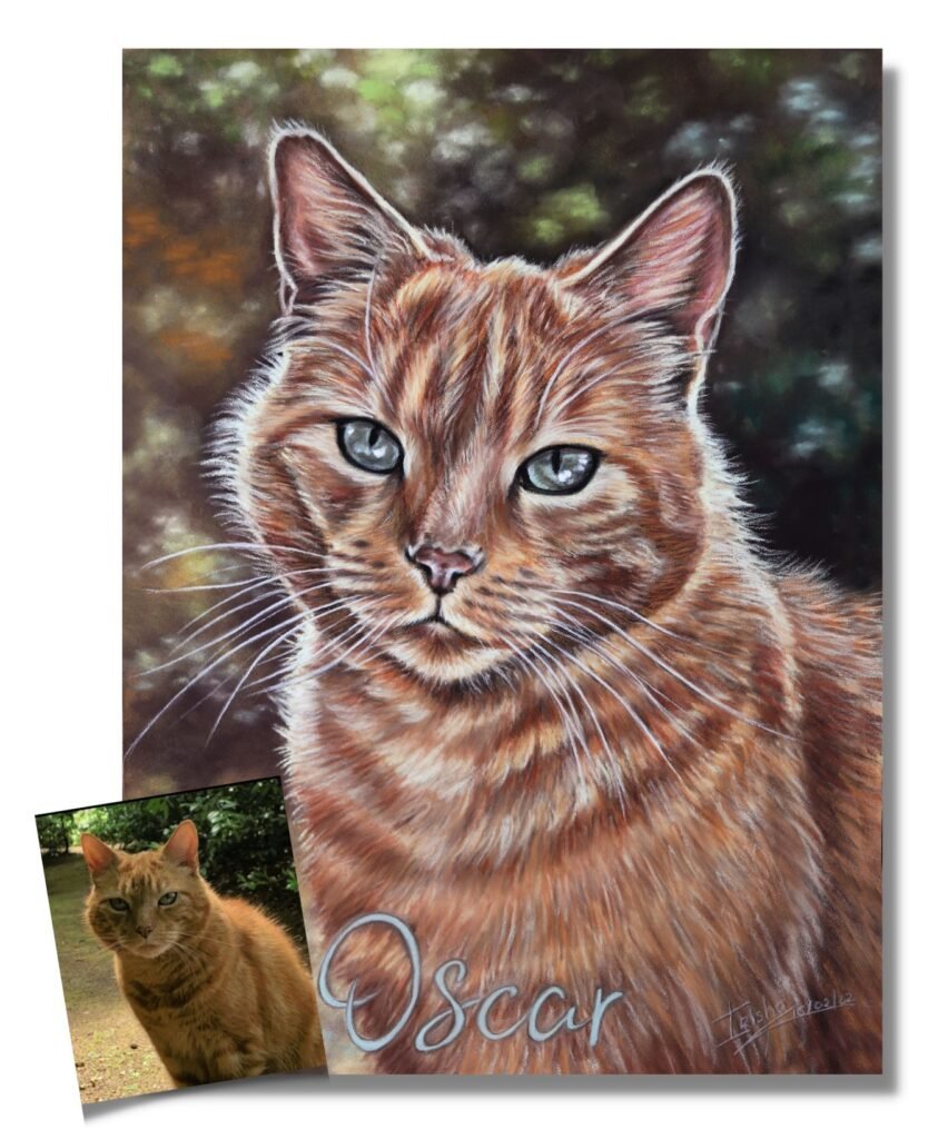 custom cat portrait ginger cat