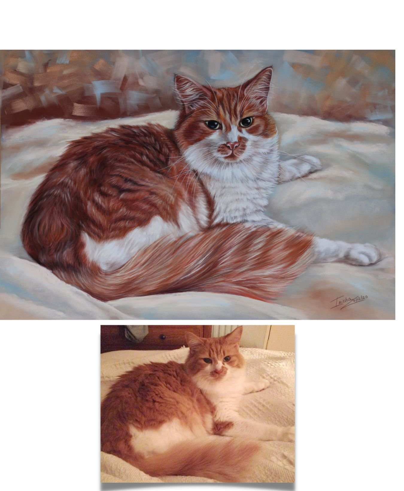 custom cat portrait ginger cat1