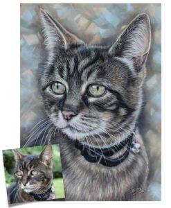 custom cat portrait tabby cat