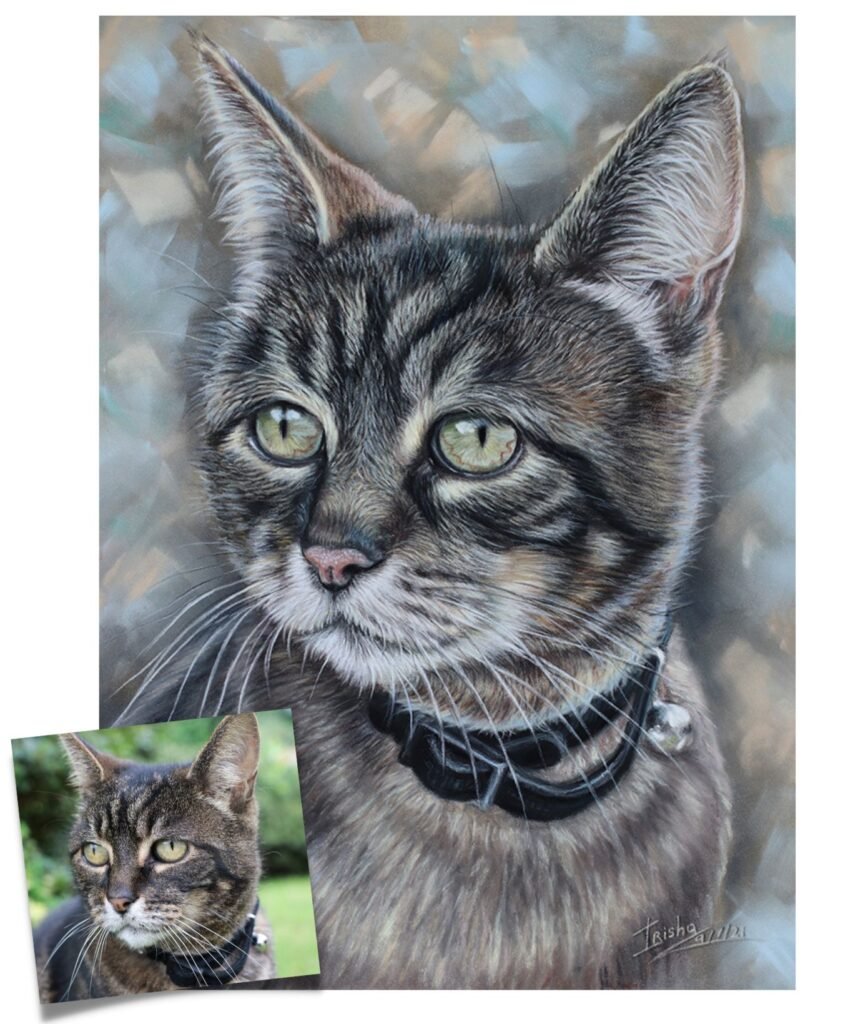 custom cat portrait tabby cat