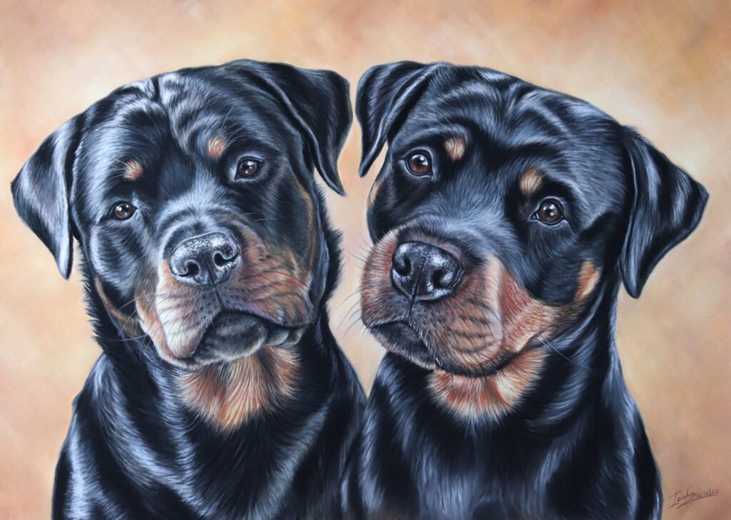 custom dog portrait