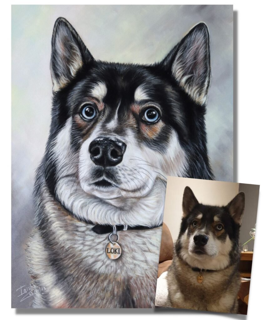 custom dog portrait alaskan malamute