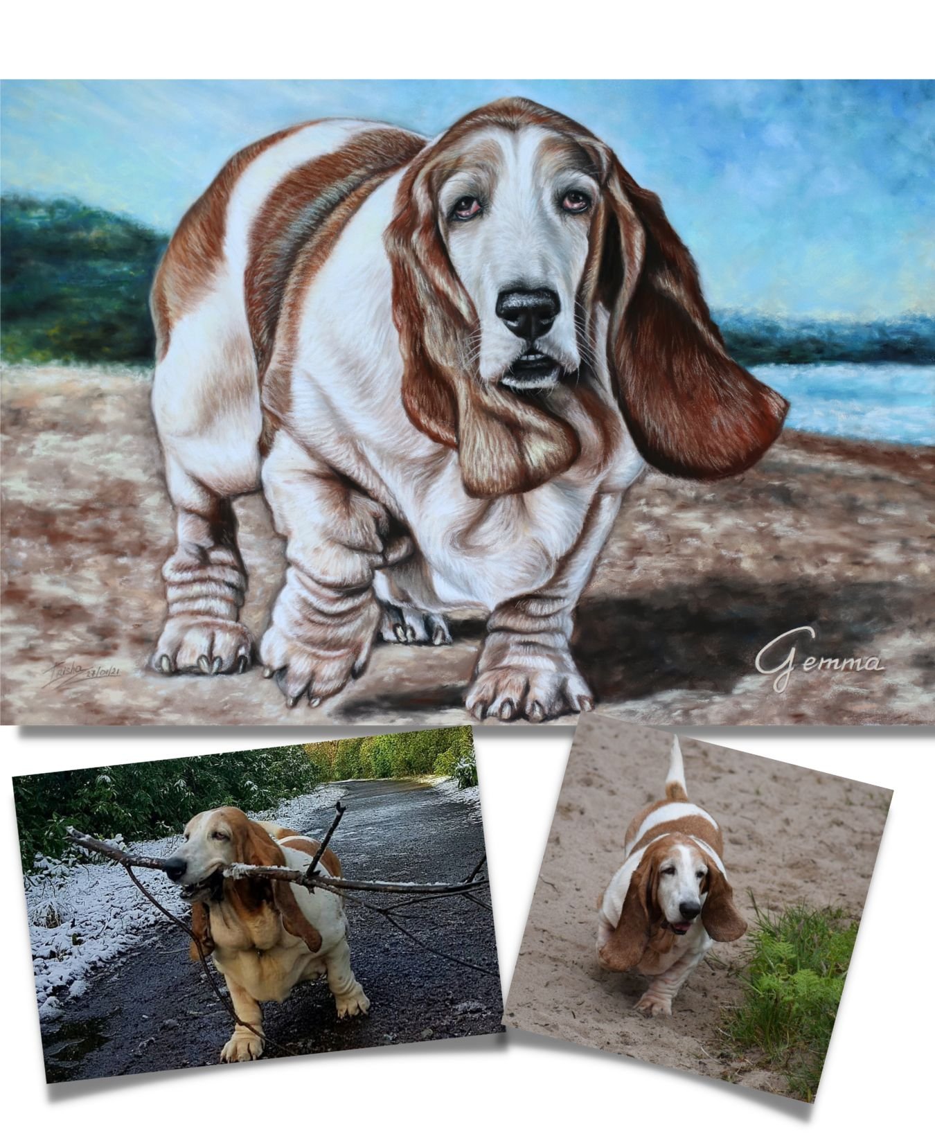 custom dog portrait basset hound