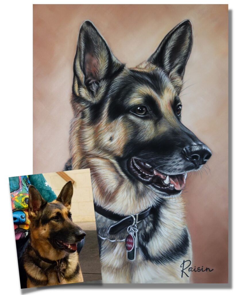 custom dog portrait german shepherd