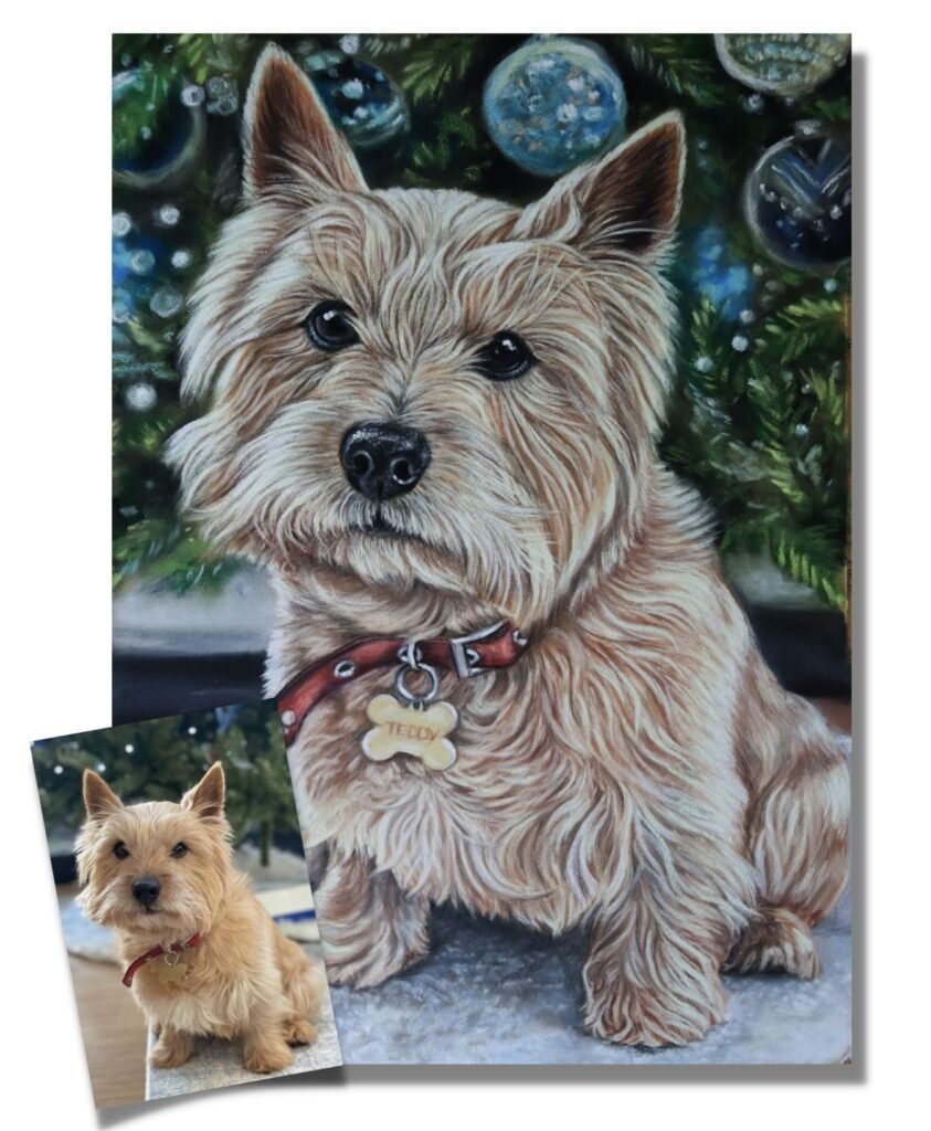 custom dog portrait norwich terrier