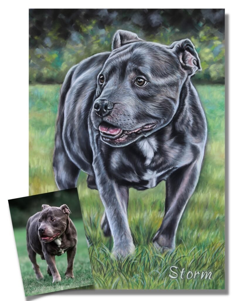 custom dog portrait staffy