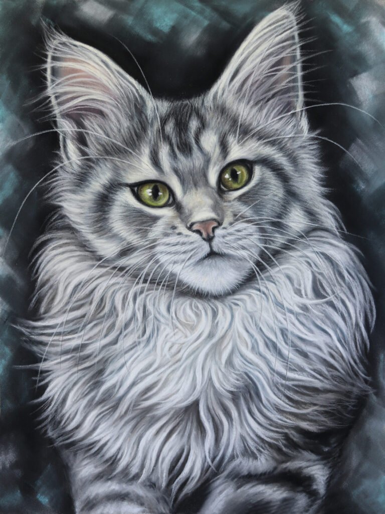 maine coon art