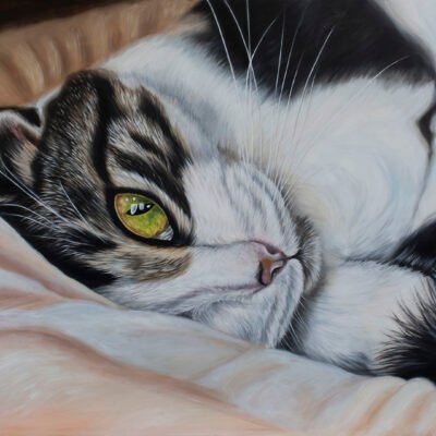 cat oil painting