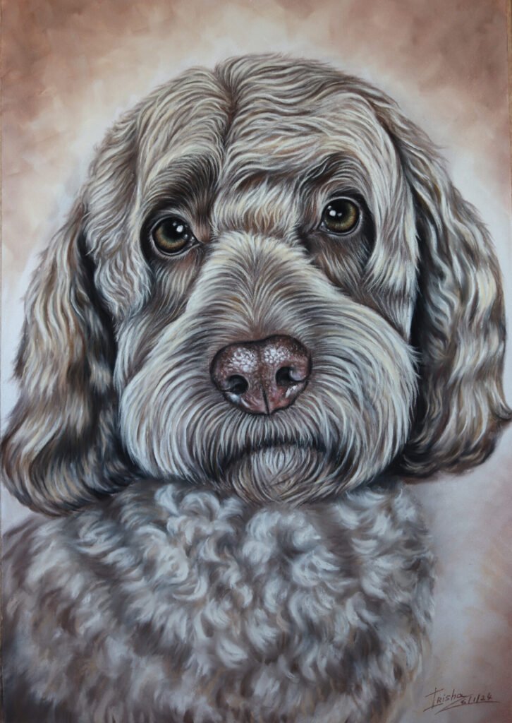 cockapoo portrait