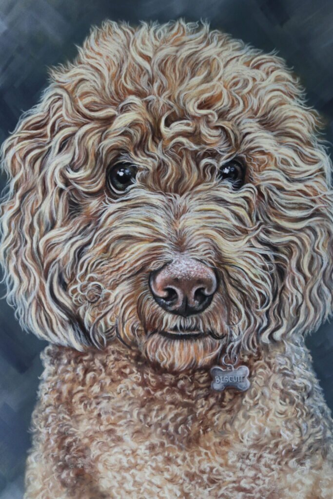 labradoodle portrait