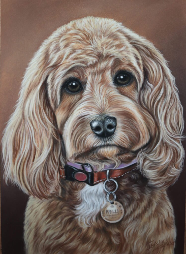 cavapoo portrait