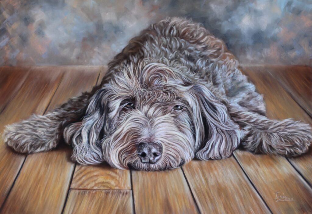 labradoodle portrait