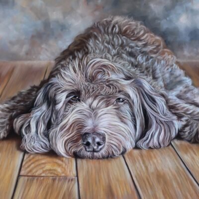 labradoodle portrait