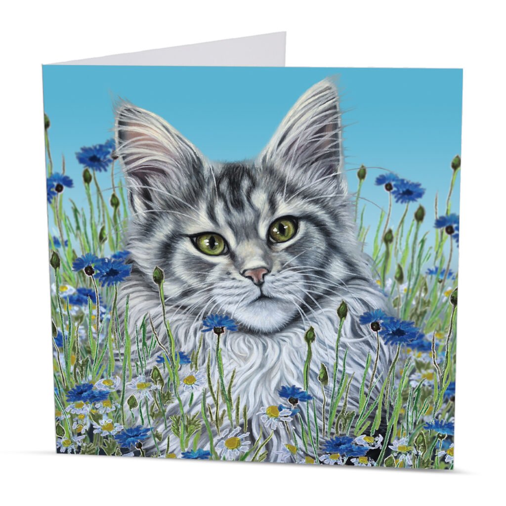 maine coon greeting card