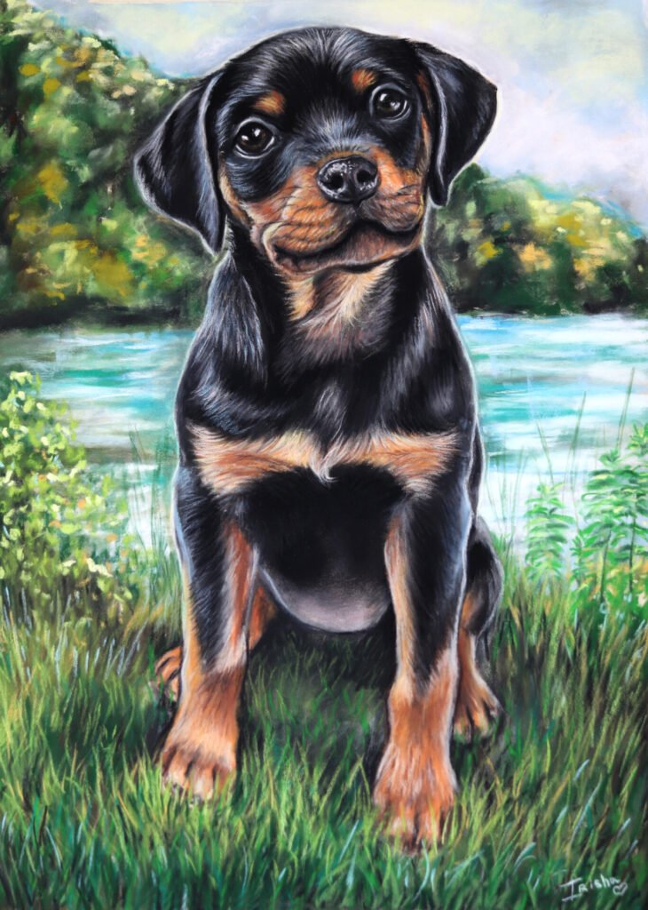 dog art for sale