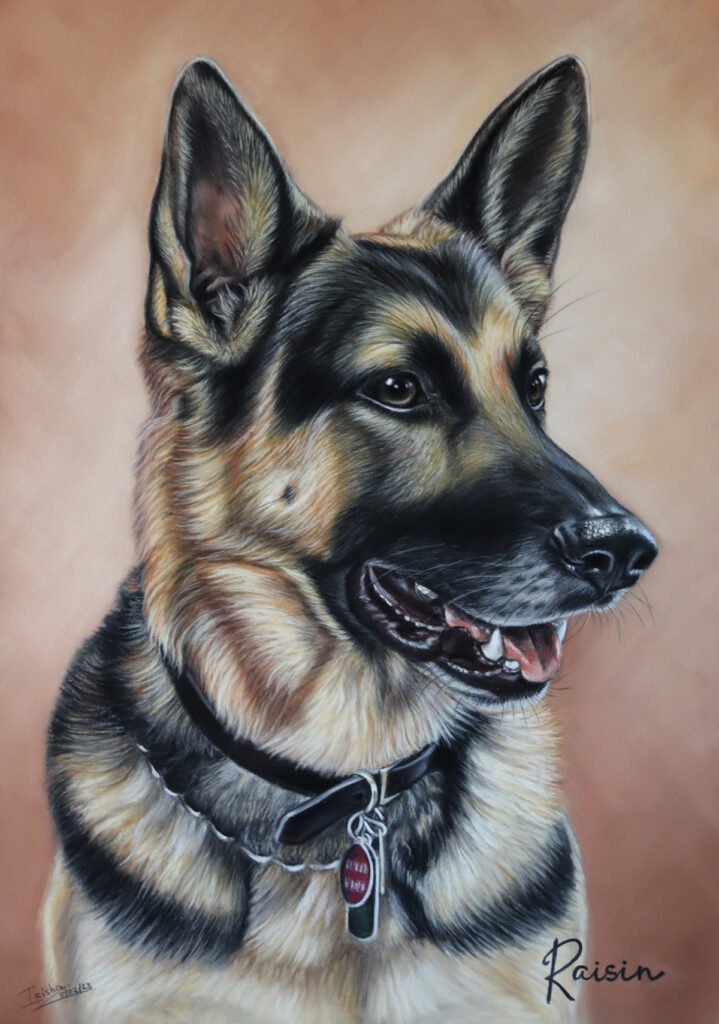 custom pet portrait of a German Shepherd - Raisin