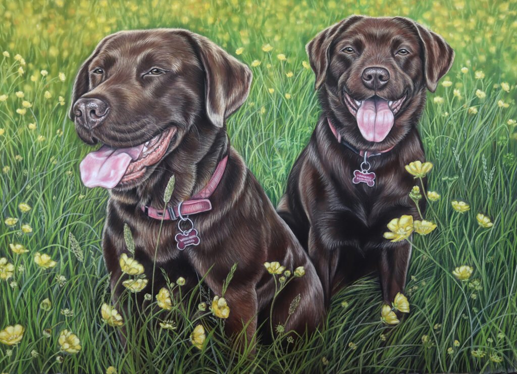 Custom dog portrait of two chocolate Labrador Retrievers sitting in a buttercup field – painted by Irisha