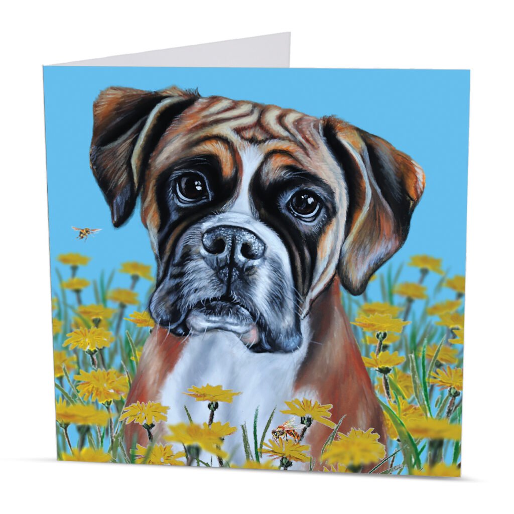 greeting card with a German Boxer dog and dandelions