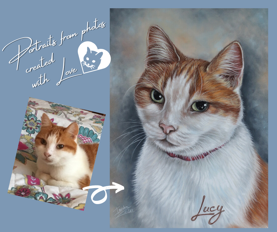 Side-by-side image of a hand-painted custom cat portrait and reference photo – ginger and white cat, head and shoulders