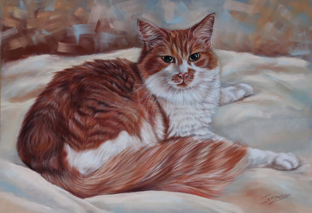 custom portrait of ginger and white cat by Irisha