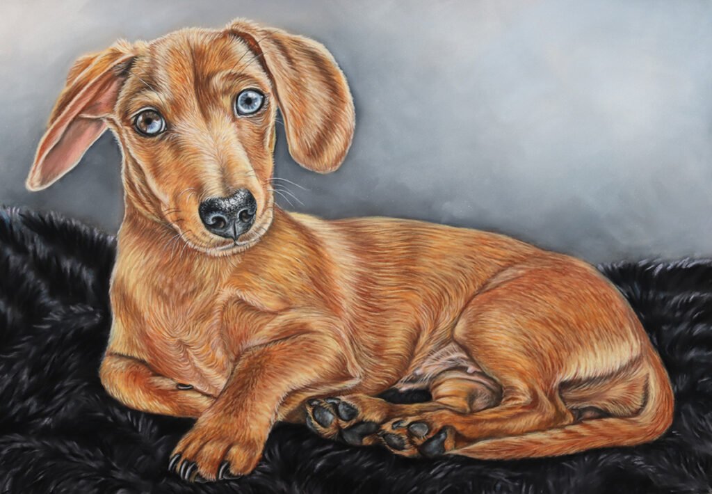 custom dog portrait commission