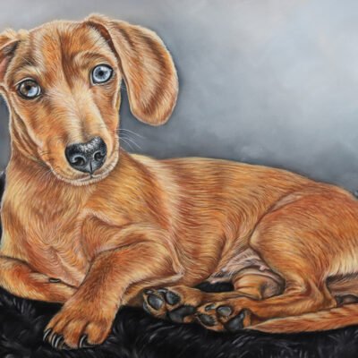 custom dog portrait commission