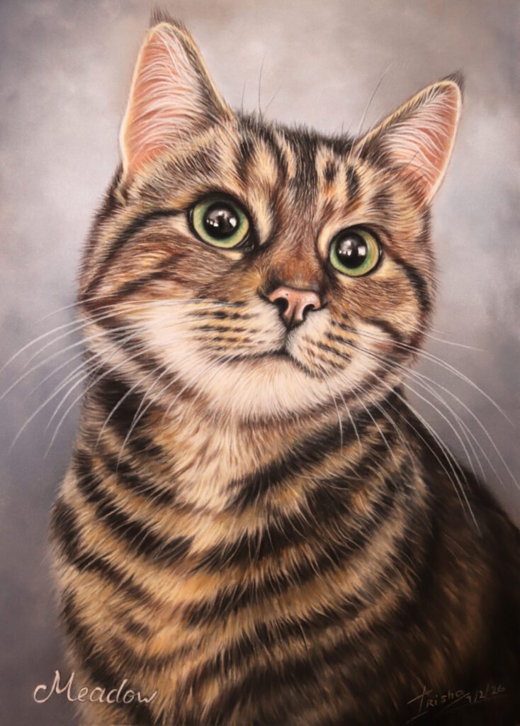 custom classic portrait of a beautiful tabby cat