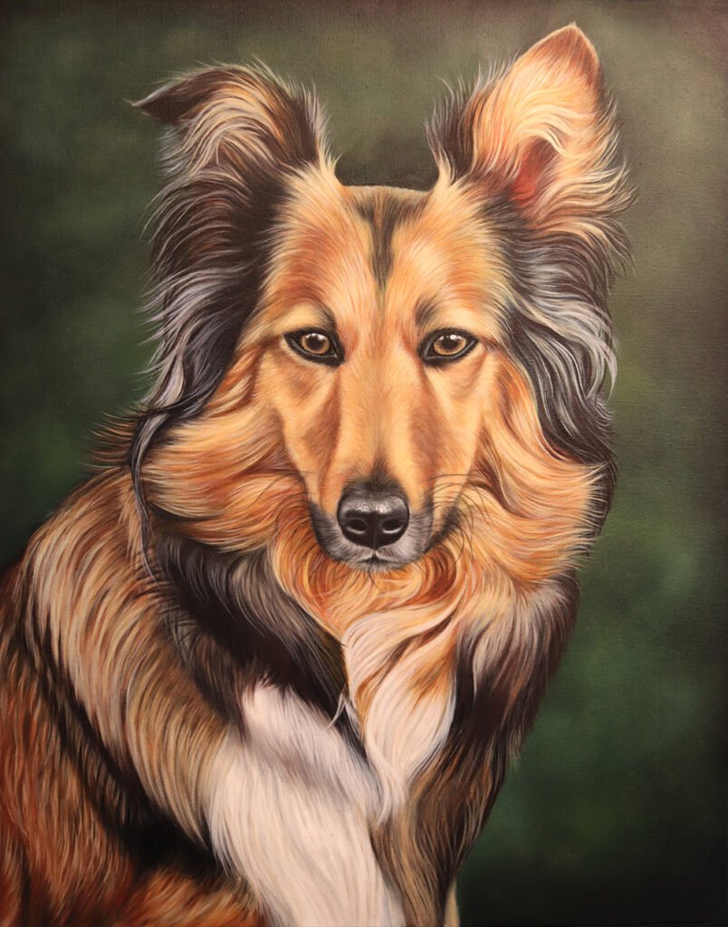 custom dog portrait of a Collie created with oil paint