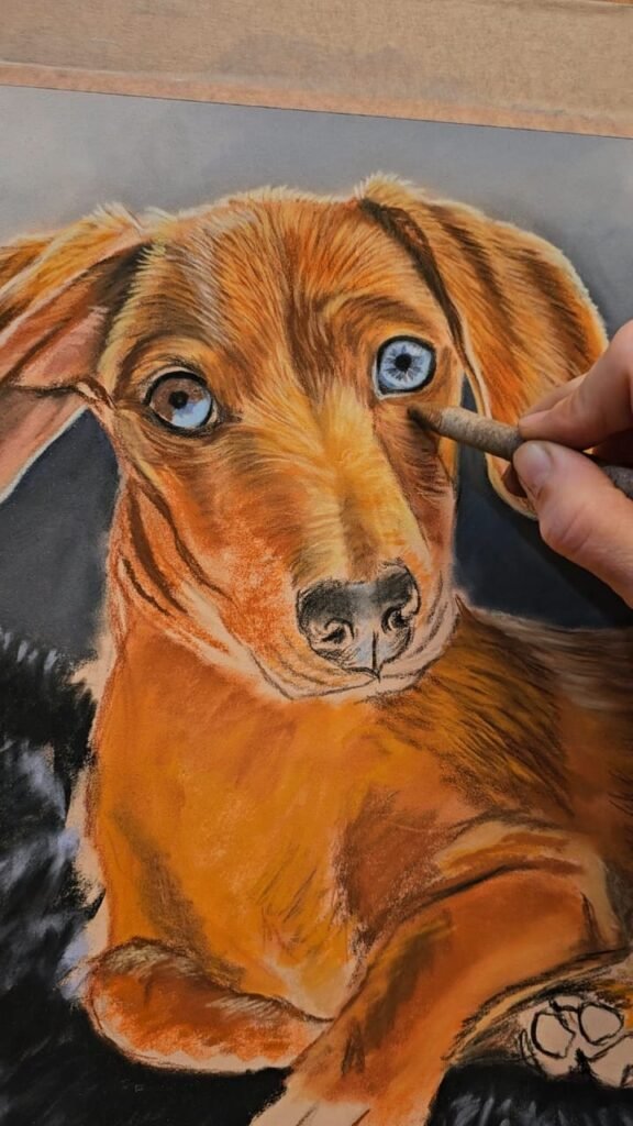 process of creating custom dog portrait in pastel